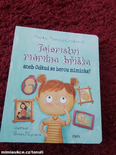 Tajemství mamina bříška