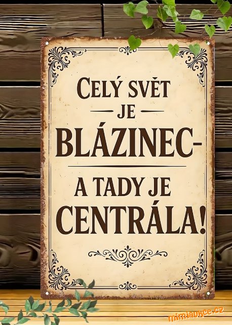 **** KOVOVÁ  NASTĚNNÁ DEKORACE  **** VTIPNÝ TEXT ****